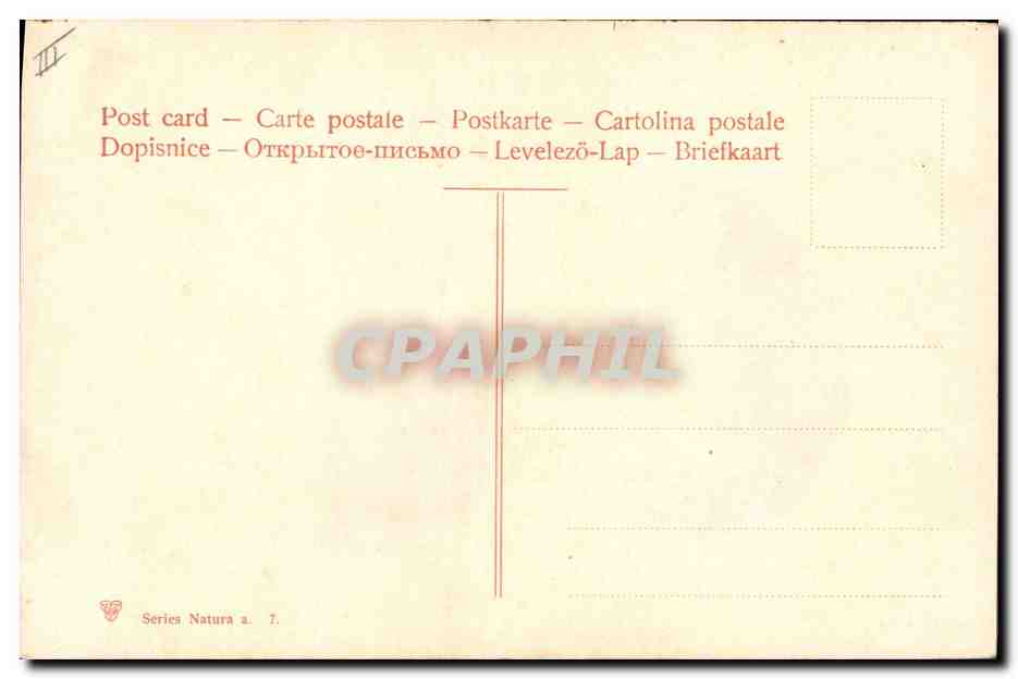 Fraises — illustration botanique — Series Natura a. 7 — Verso