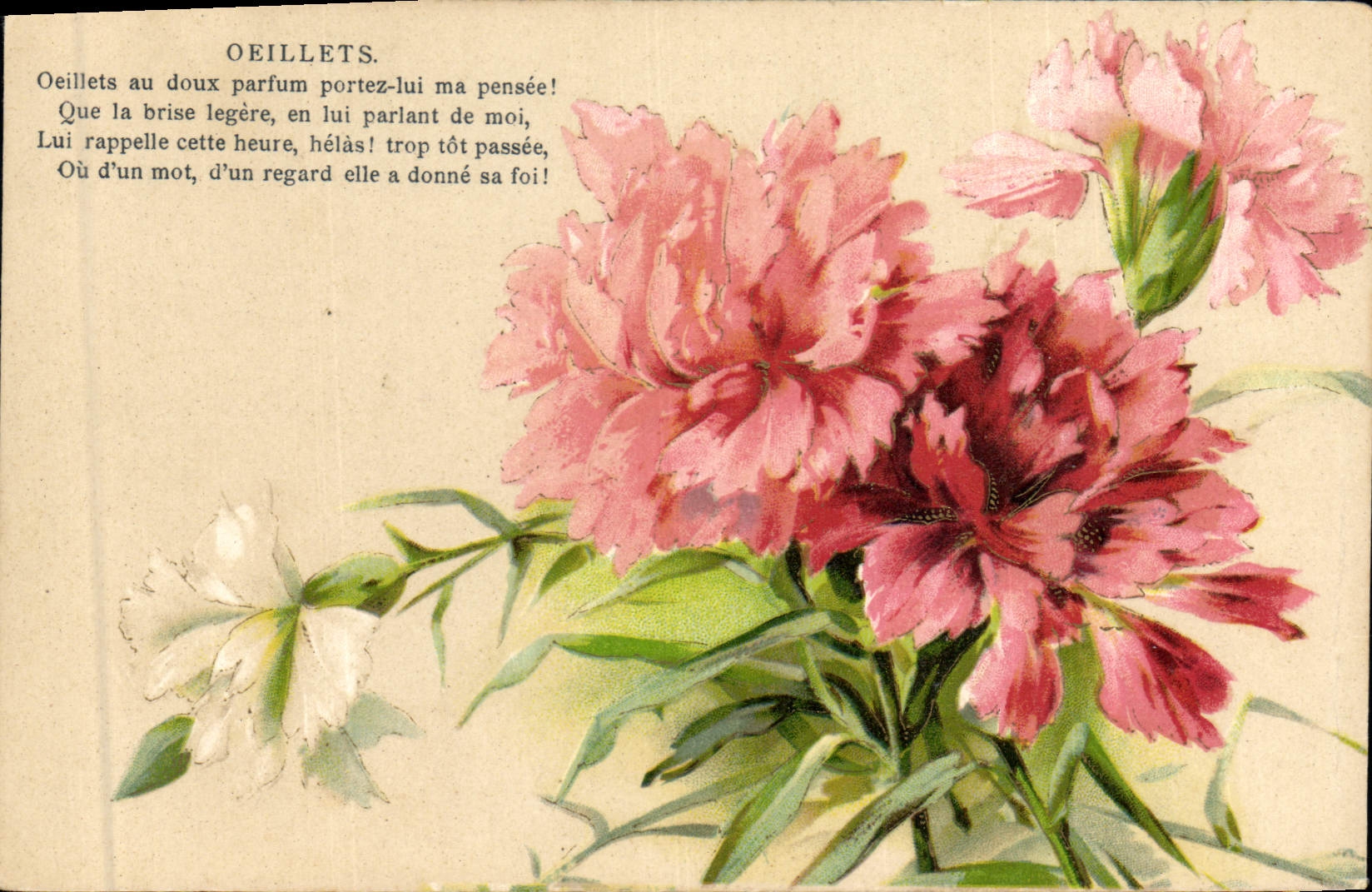 CPA Fantaisie Fleurs Oeillets 