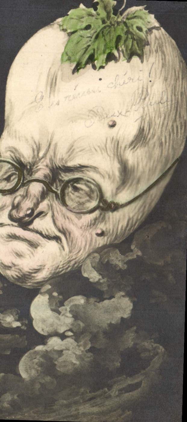 Tête de vieillard en citrouille — caricature — Série 170, Raphael Truck & Fils, Paris