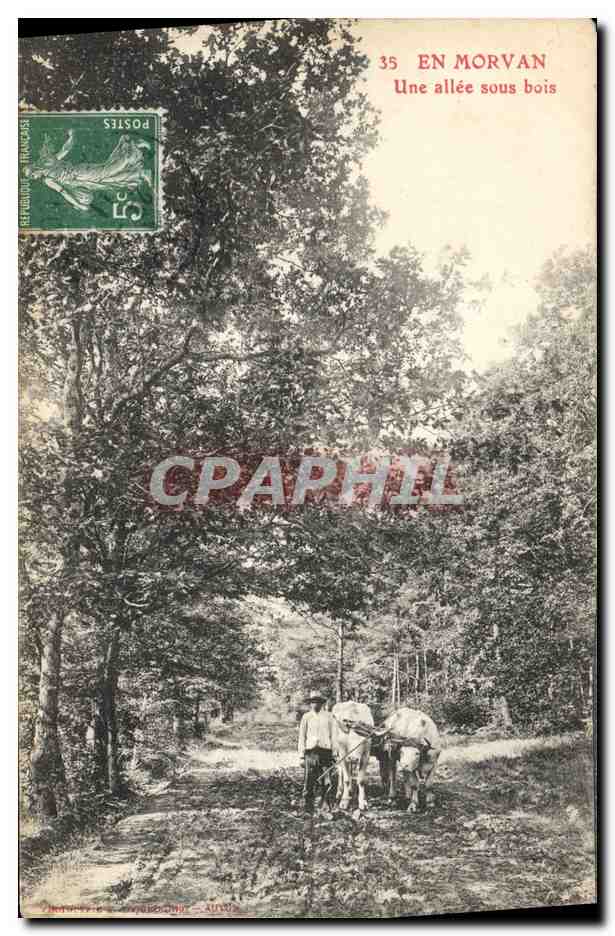 CPA Folklore Morvan Une allee sous bois Boeufs Attelage 