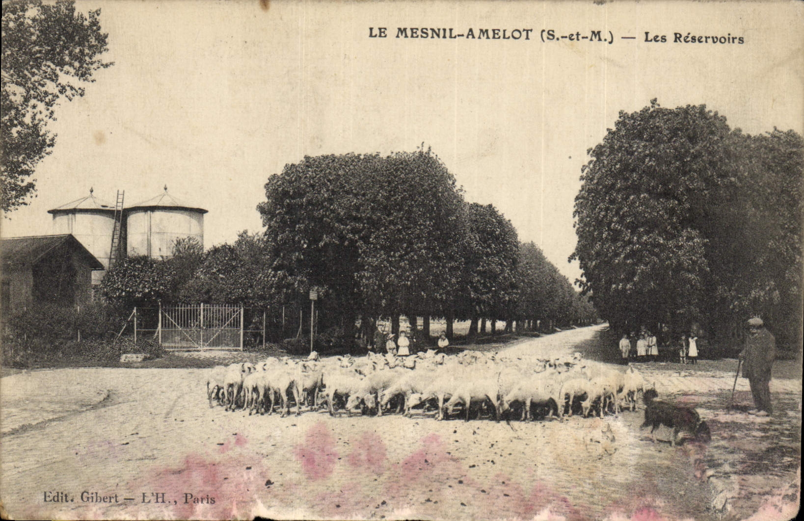 CPA Chateau d'eau Le Mesnil Amelot Les reservoirs Moutons Chien