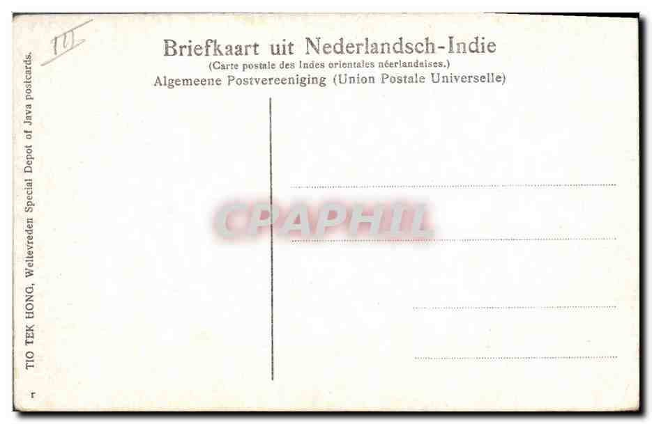 CPA Plantes Java Indonesie  — Verso
