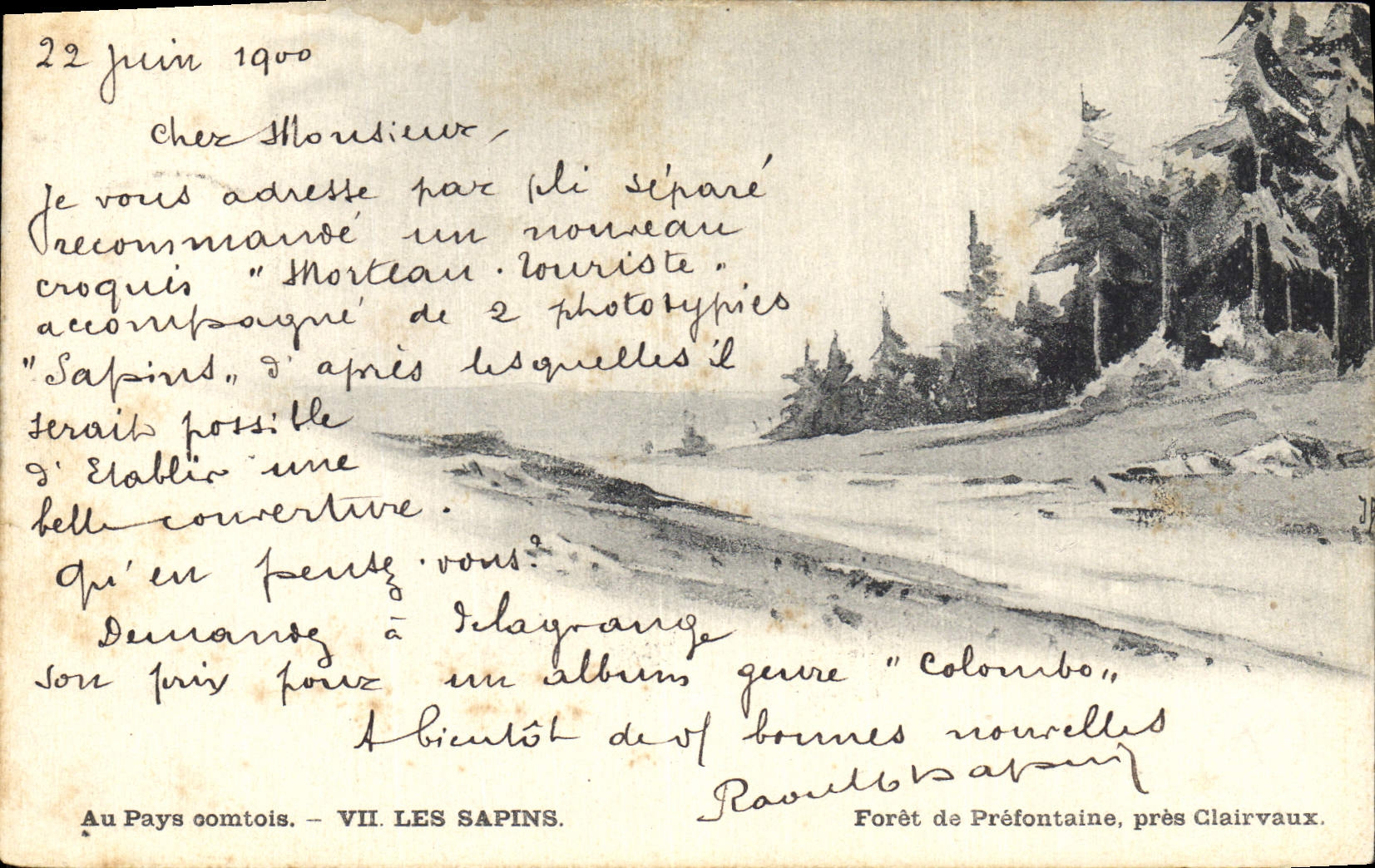 CPA Arbre Foret de Prefontaine pres de Clairvaux 