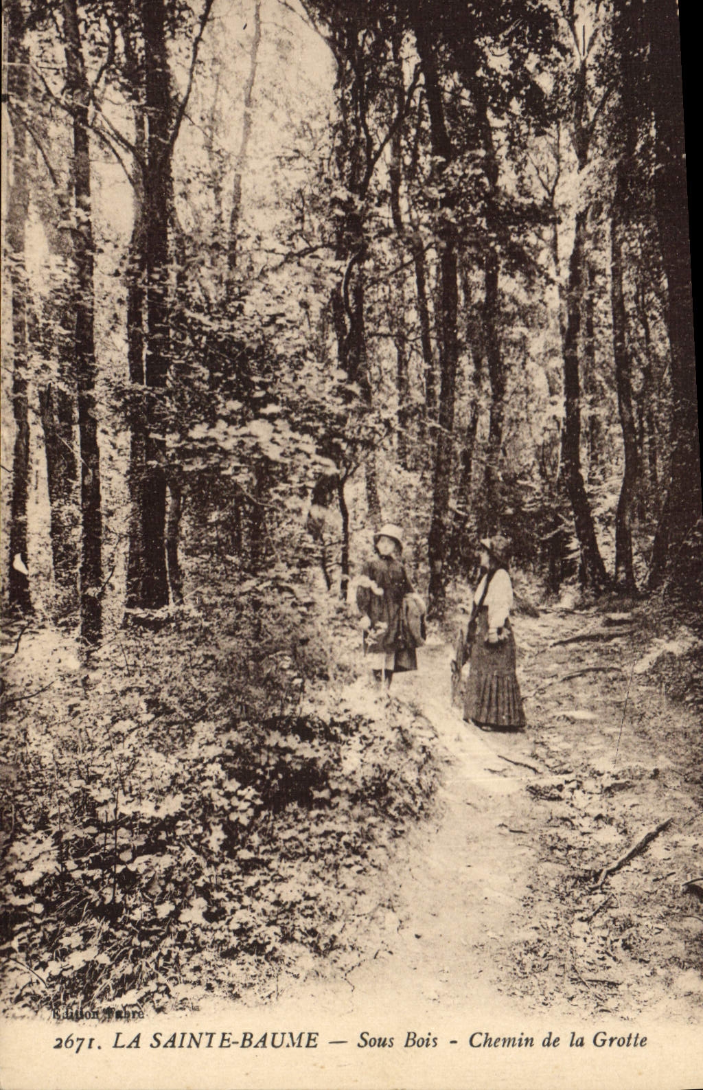CPA Arbre La Sainte Baume Sous bois Chemin de la grotte