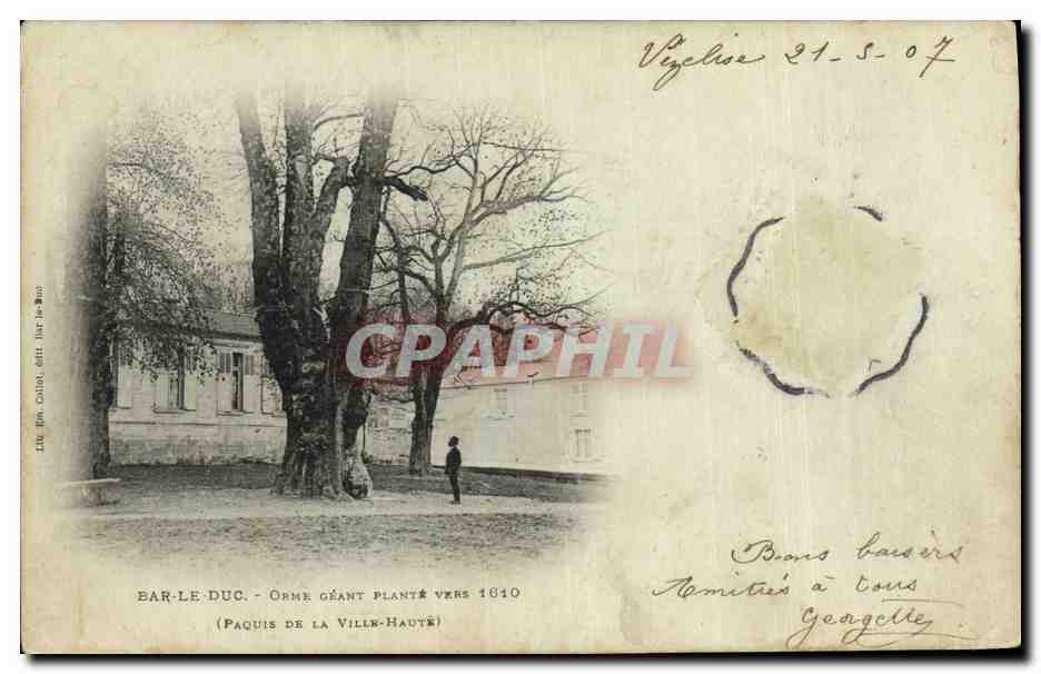 CPA Arbre Bar le Duc Orme geant plante vers 1610 Paquis de la Ville haute