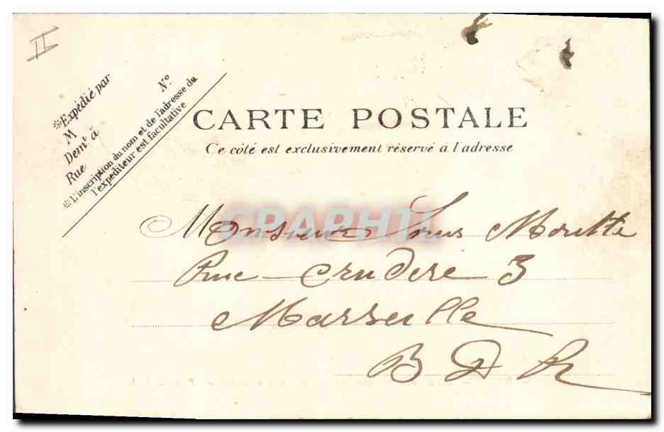 CPA Arbre Paris Allee des cedres au jardin des Plantes — Back