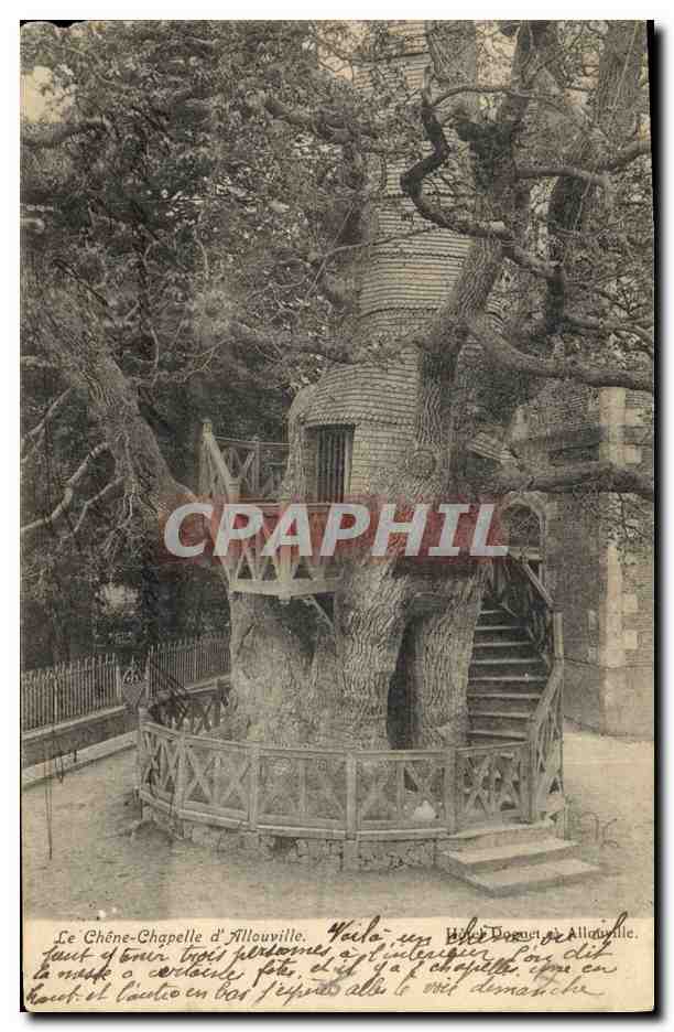 CPA Arbre Le Chene chapelle d'Allouville