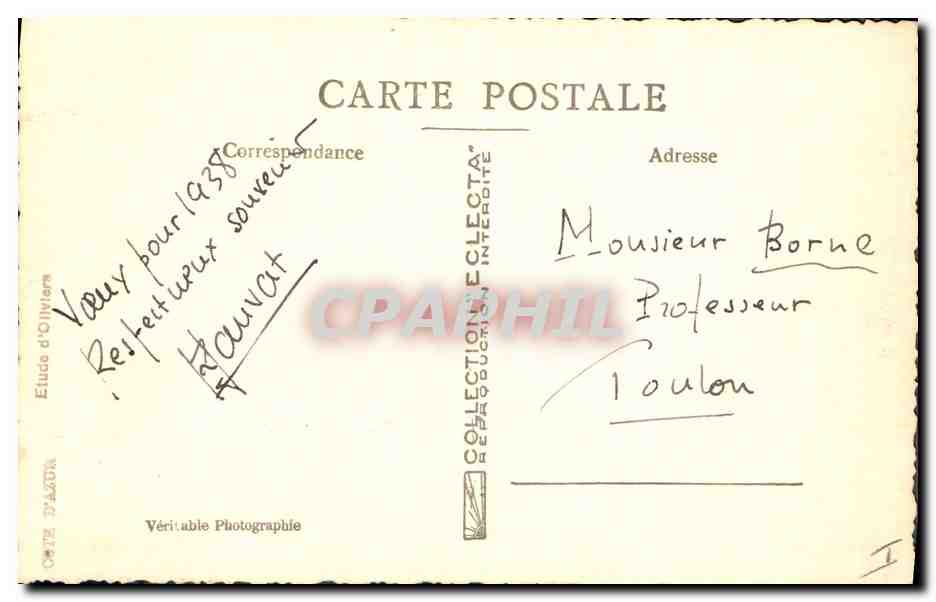 CPA Arbre Cote d'Azur Etude d'oliviers — Verso