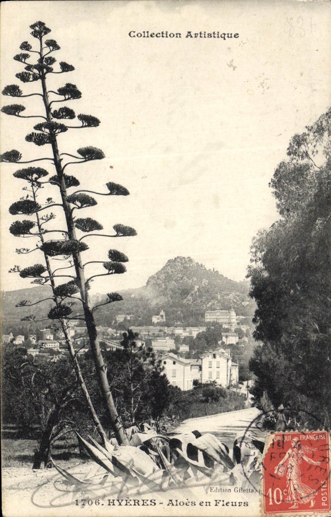CPA Arbre Hyeres Aloes en fleurs