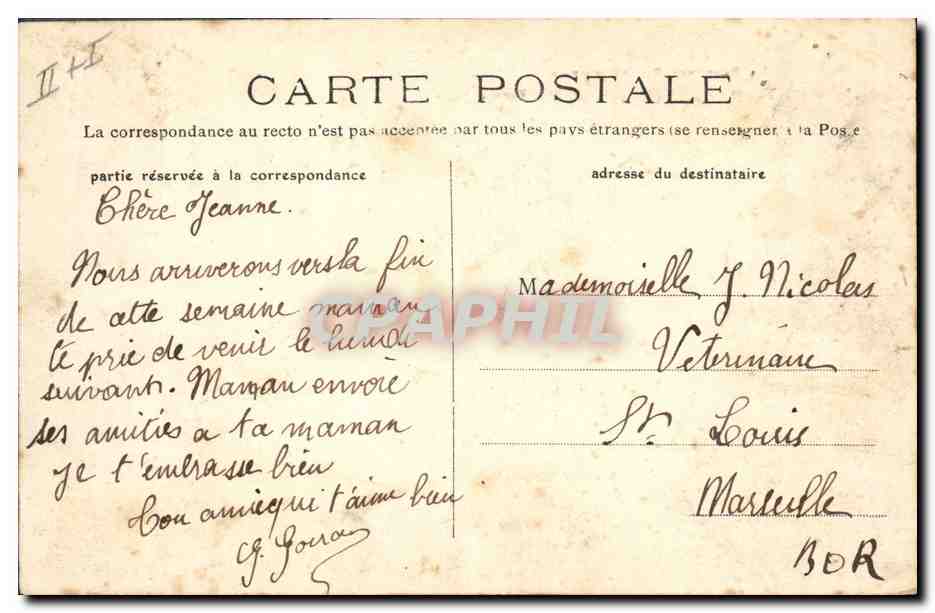 CPA Arbre Sainte Maxime un pin parasol — Rückseite