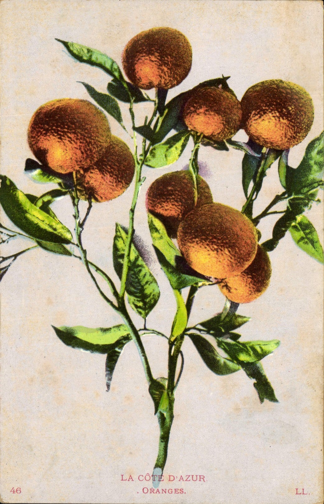 CPA Fantaisie Nature morte Oranges Cote d'Azur