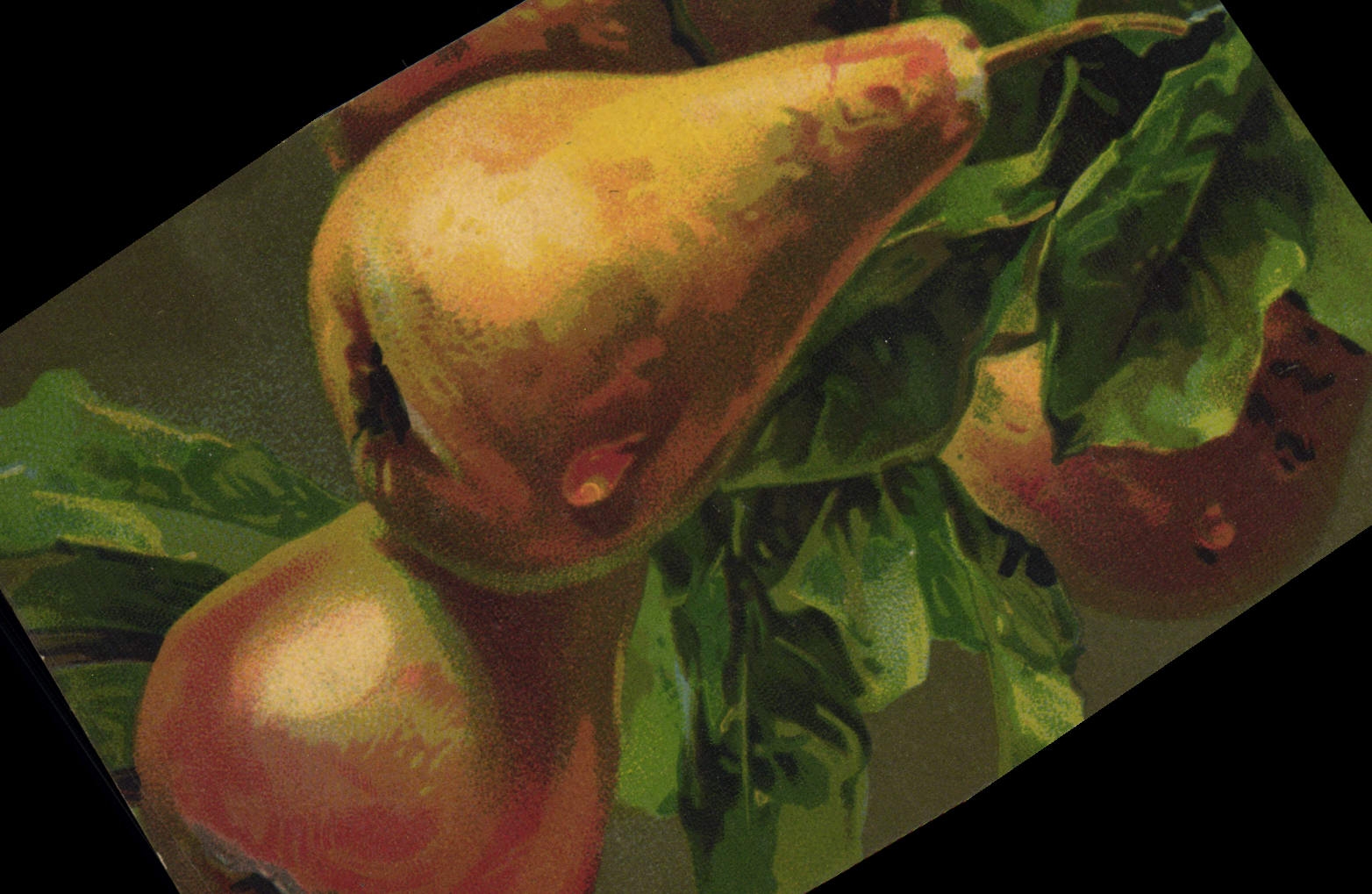 CPA Fantaisie Nature morte Poires