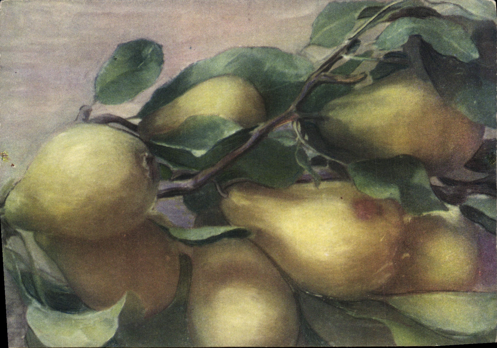 CPA Fantaisie Nature morte Poires