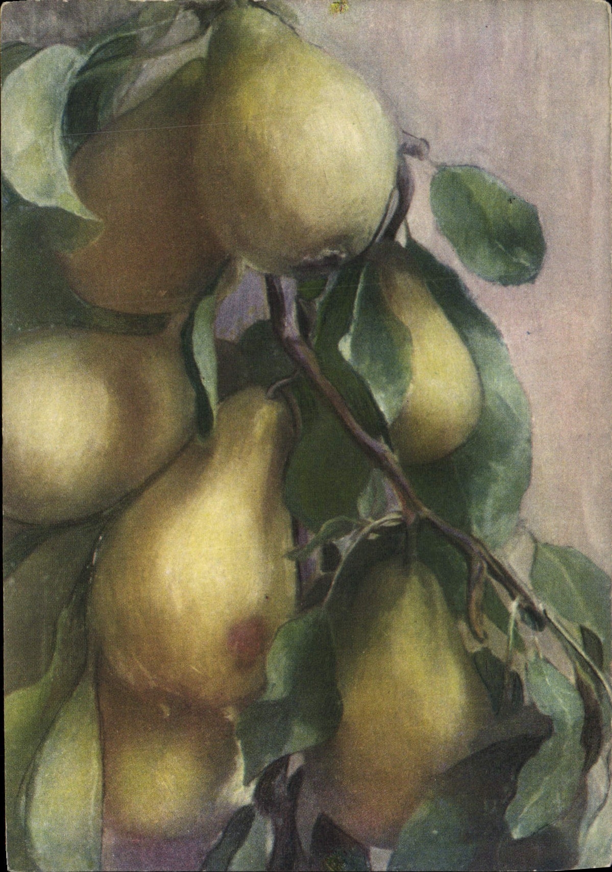 CPA Fantaisie Nature morte Poires
