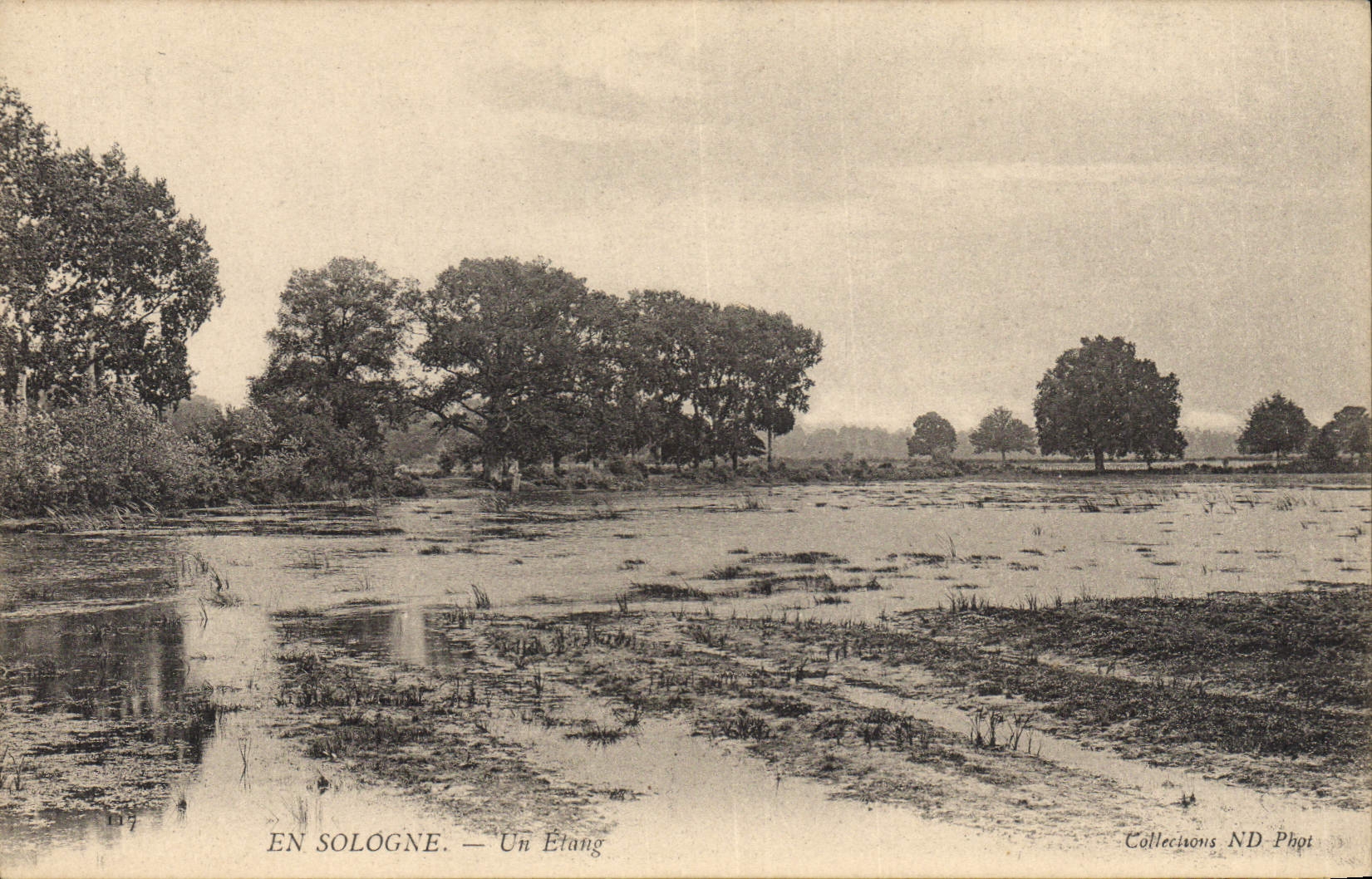 CPA En Sologne Un etang 