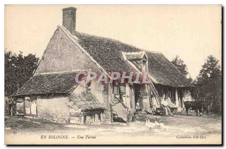 CPA Folklore Paysans En Sologne Une ferme Vache TOP