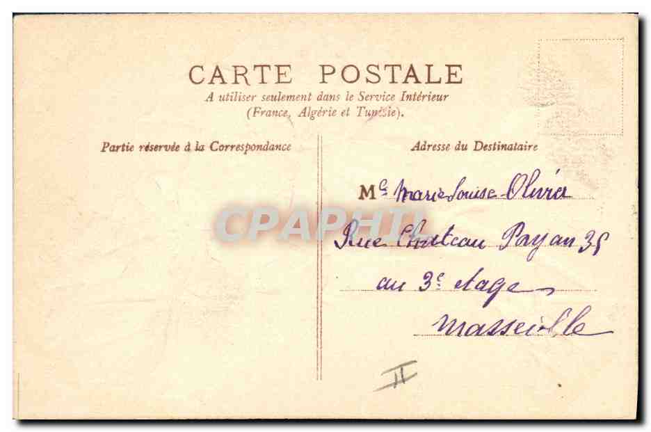 Fleur violette — Carte postale de vœux — Éditeur inconnu — Rückseite