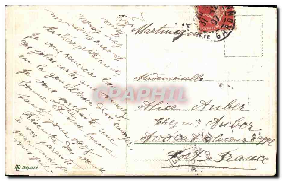 CPA Fantaisie Fleurs Colombe — Verso