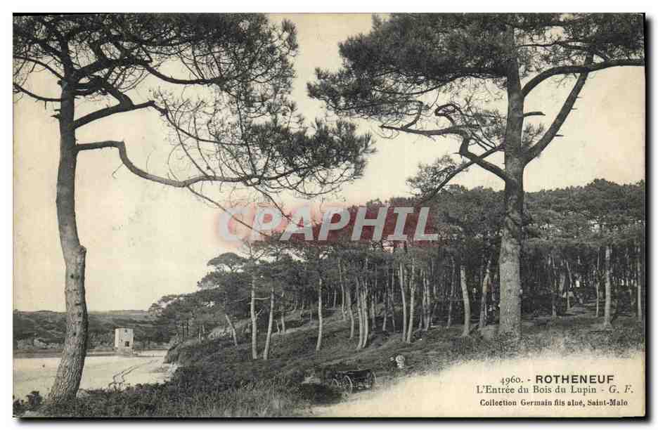 CPA Arbre Rotheneuf L'entree du bois du Lupin