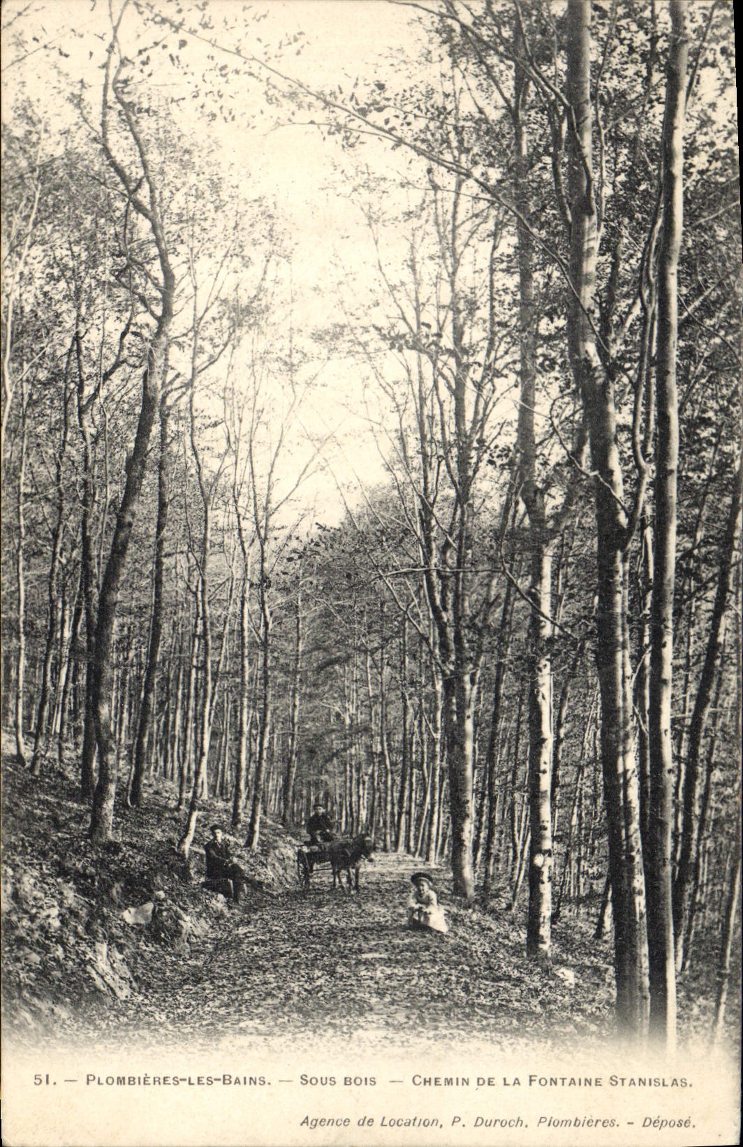 CPA Arbre Plombieres les Bains Sous bois Chemin de la fontaine Stanislas (animee) Ane Mule
