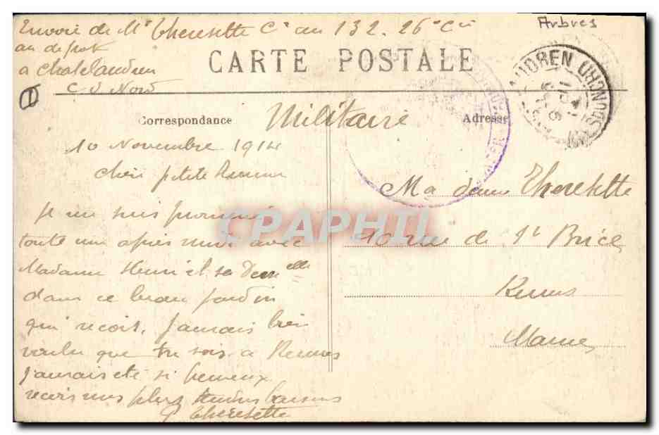 CPA Arbre Rennes Au Thabor La grande allee du jardin francais et le cedre du Liban — Back