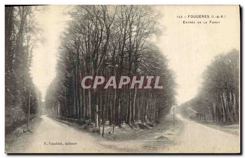 CPA Arbre Fougeres Entree de la foret