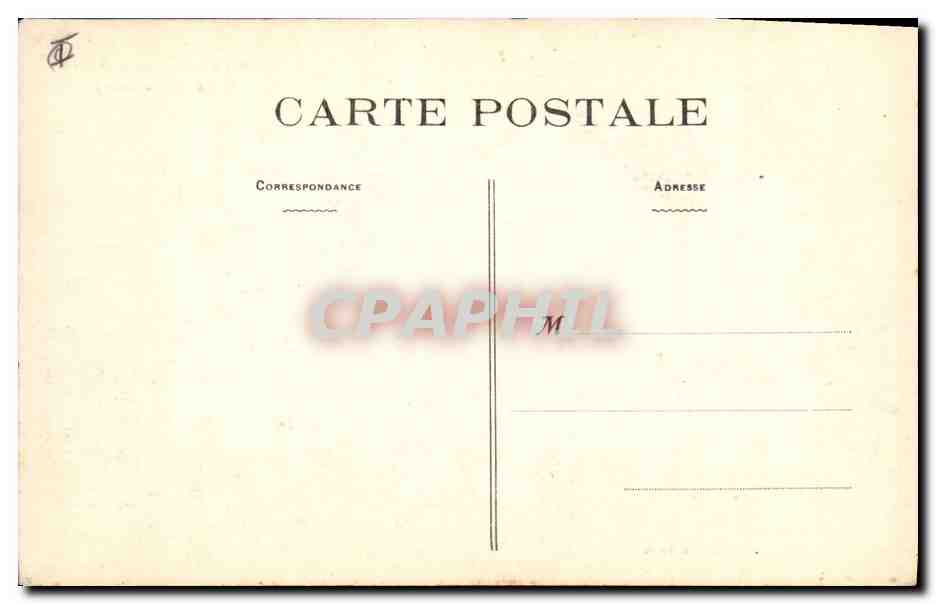 CPA Arbre Fougeres Entree de la foret — Verso