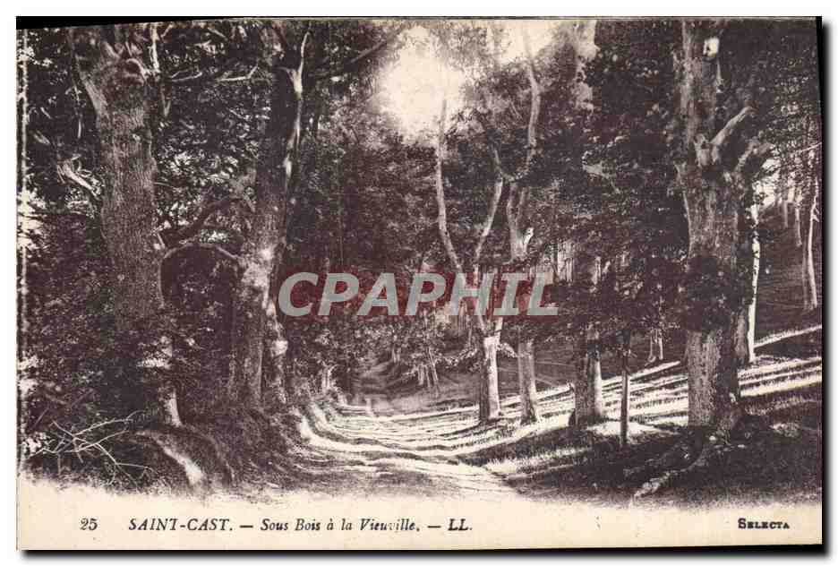 CPA Arbre Saint Cast Sous bois a la Vieuville - Recto