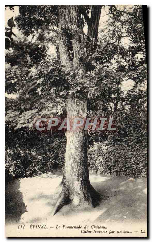 CPA Arbre Epinal La promenade du chateau