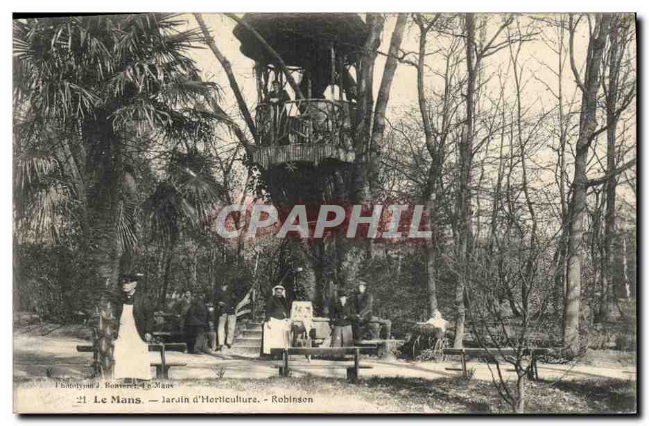 CPA Arbre Le Mans Jardin d'horticulture Robinson