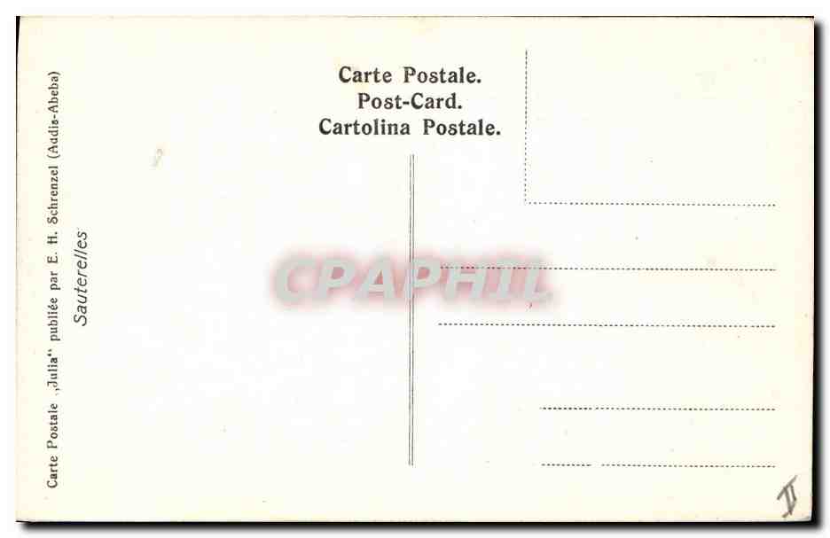 CPA Arbre Sauterelles Addis Abeba Ethiopie Insectes — Back
