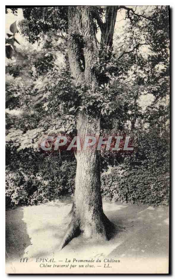 CPA Arbre Epinal La promenade du chateau Chene traverse par un obus