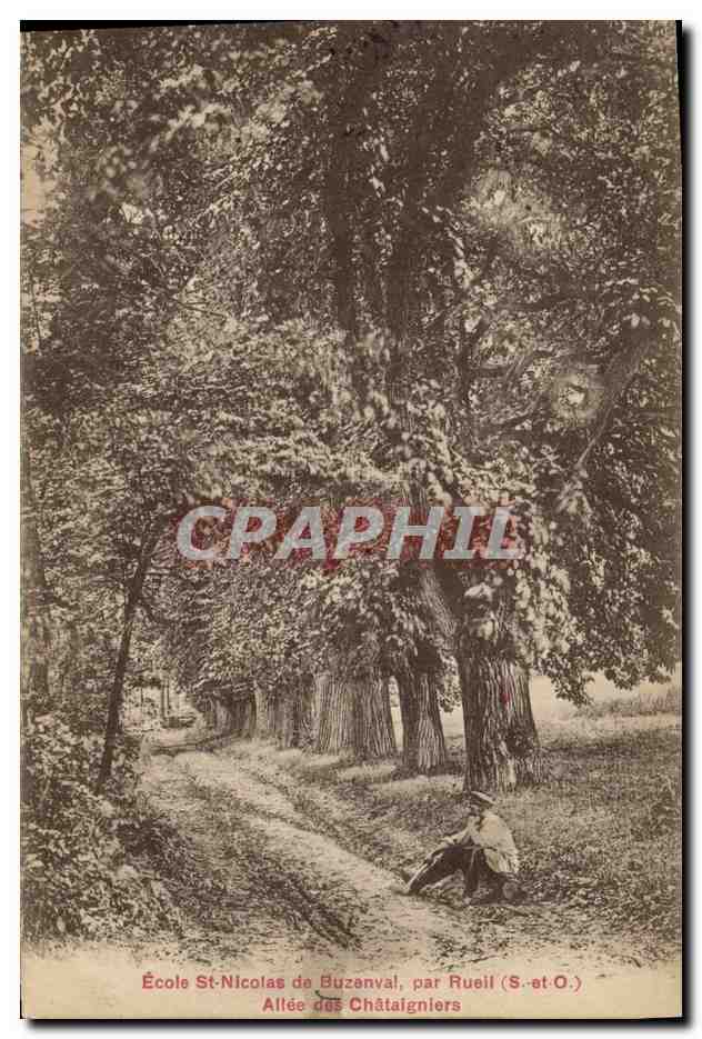 CPA Arbre Ecole St Nicolas de Buzenval par Rueil Allee des Chataigniers 