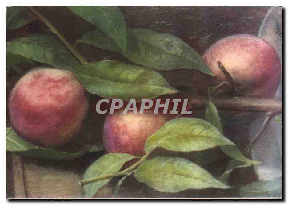 CPA Fantaisie Nature Morte Peches