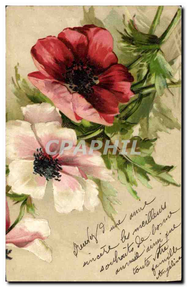 CPA Fantaisie Fleurs 