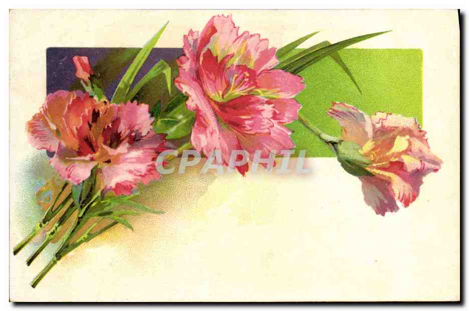 CPA Fantaisie Fleurs 