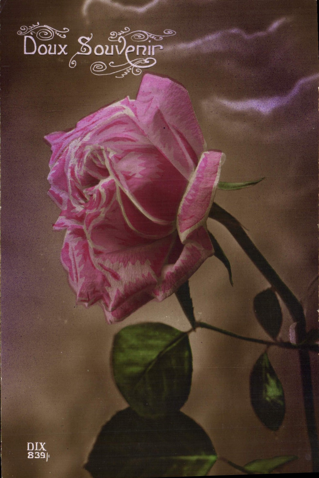 CPA Fantaisie Fleurs 