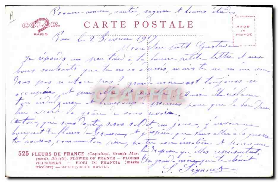 CPA Fantaisie Fleurs Margeurite Bleuet — Reverso