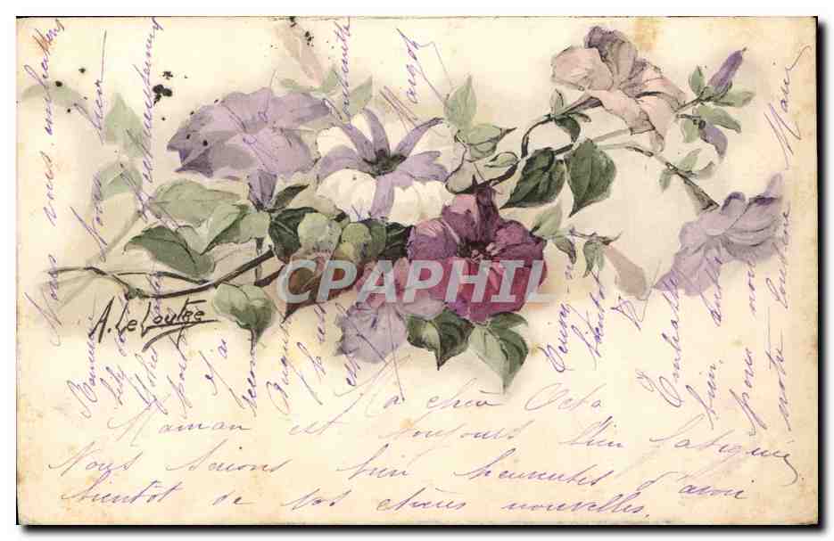 Fleurs de couleurs variées — A. Le Cautre — éditeur non visible