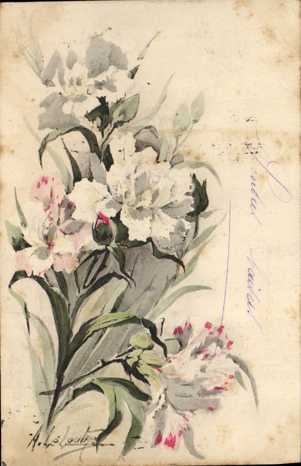 Fleurs — peonies et pivoines — dessin d'André Loubat