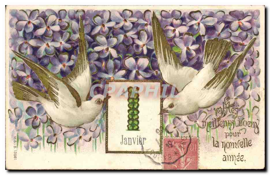CPA Fantaisie Fleurs Oiseaux