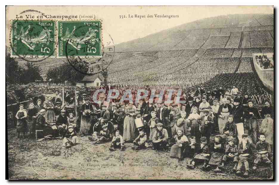 Le Repas des Vendangeurs — La Vie en Champagne (édité par G. Fraunou, phot. Édit. à Ay-Macney) — n° 352