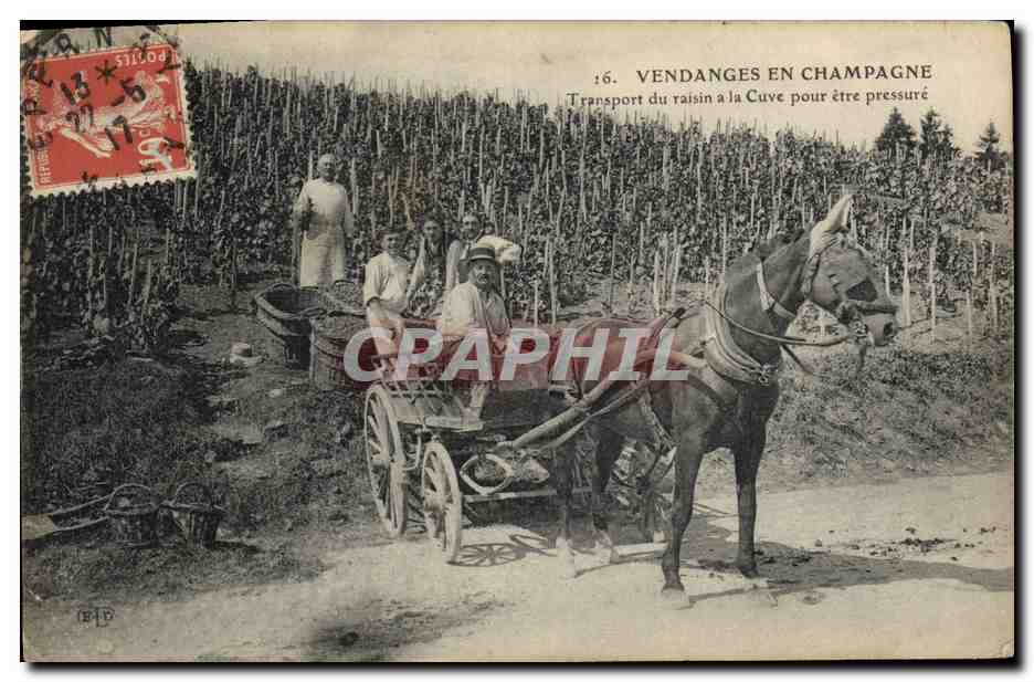 CPA Folklore Vigne Vendanges Champagne Transport du raisin a la cuve apres etre pressure TOP