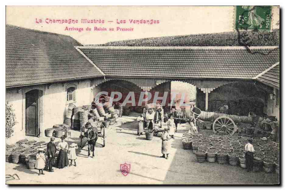 CPA Folklore Vigne Vendanges Champagne Arrivage du raisin au pressoir TOP