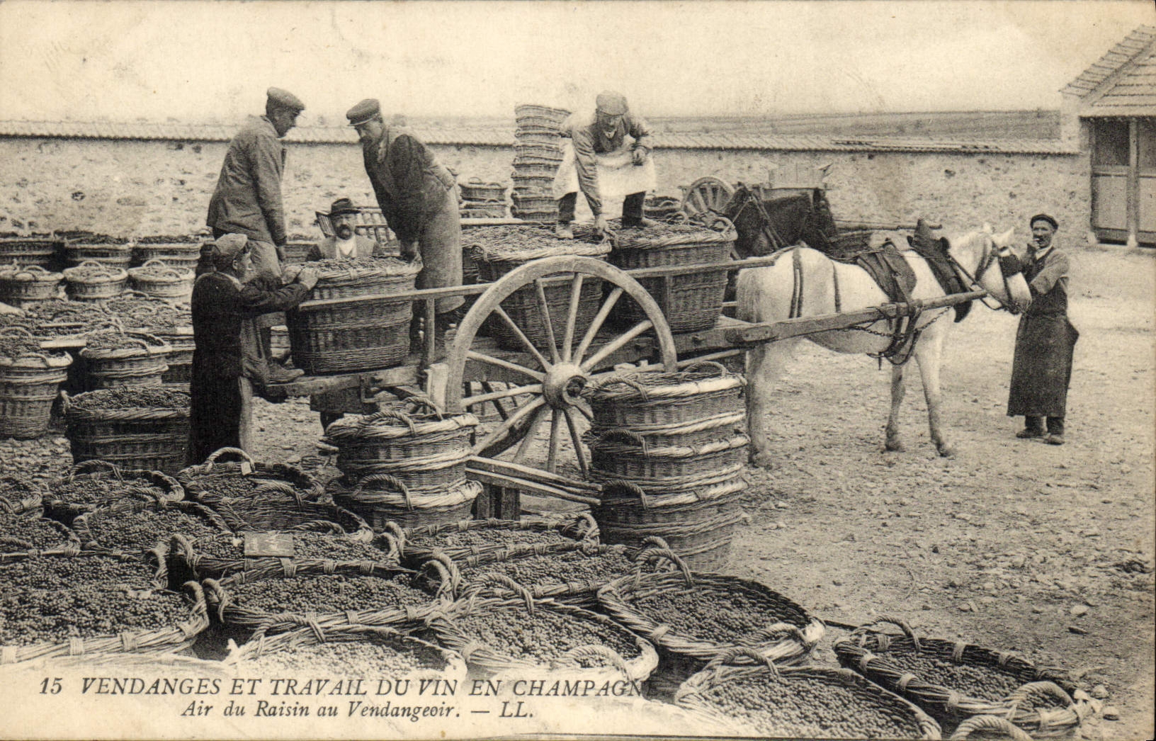 CPA Folklore Vigne Vendanges Champagne Air du raisin au vendangeoir TOP