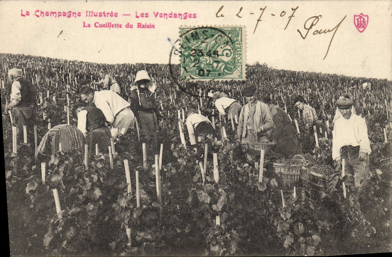 Die Weinlese — Die Kleine Traubenpflückerin — Illustriertes Champagne