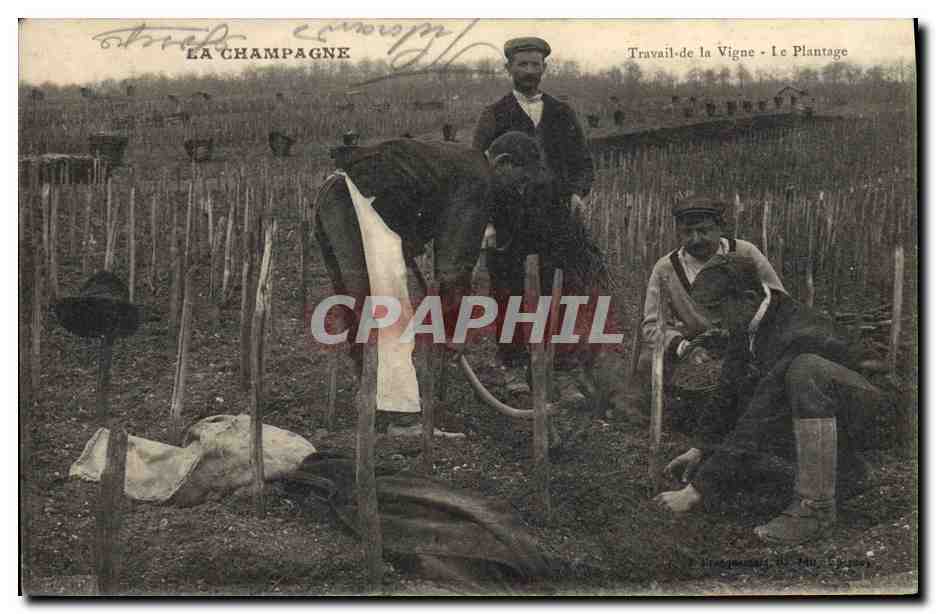 La Champagne — Travail de la Vigne - Le Plantage — Brie-Comte-Robert, n° 140