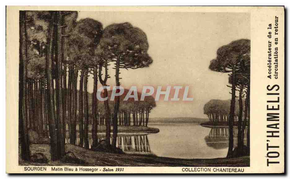 CPA Publicite Tot'Hamelis Accelerateur de la circulation en retour Sourgen Matin bleu a Hossegor Salon 1931 