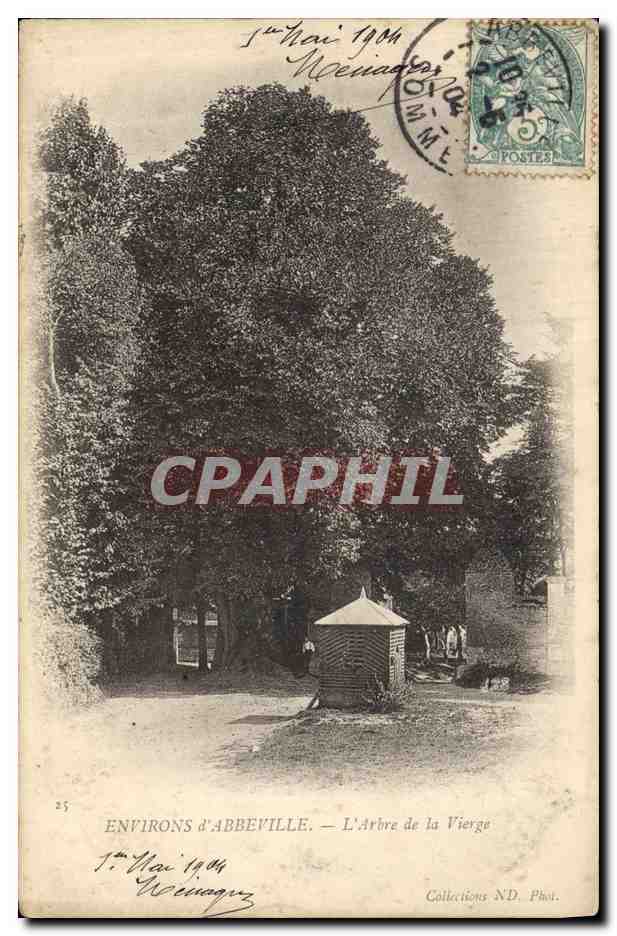 CPA Arbre Environs d'Abbeville L'arbre de la Vierge