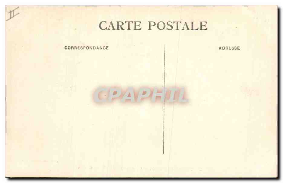 CPA Arbre Teniet el Haad Un coin de la foret des cedres — Rückseite